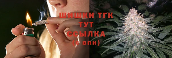 ГАЛЛЮЦИНОГЕННЫЕ ГРИБЫ Балахна