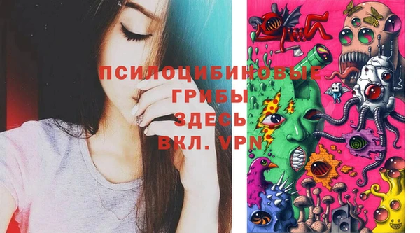 ГАЛЛЮЦИНОГЕННЫЕ ГРИБЫ Балахна