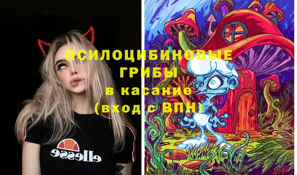 MESCALINE Аркадак